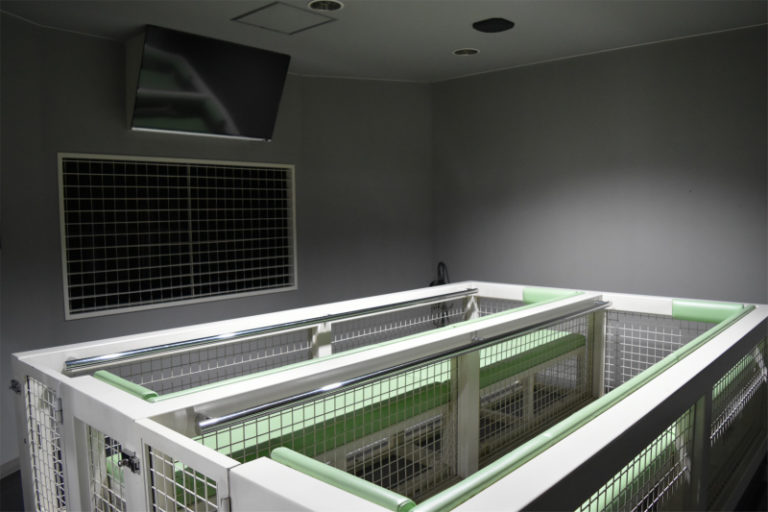 科学館 北網圏北見文化センター